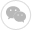 Sa